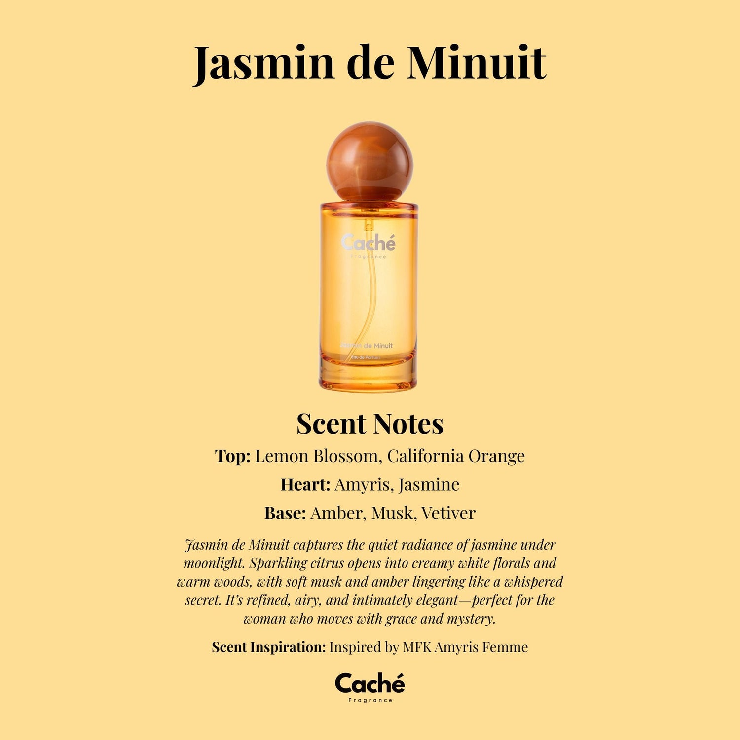 Caché - Jasmin de Minuit