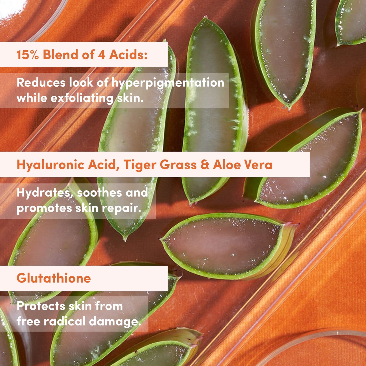 Skincare ingredient graphic with aloe vera leaves and exfoliating acids