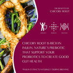 Chicory root prebiotic herbal tea benefits graphic with icons and brewing notes