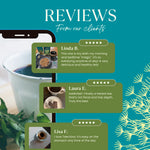 Teecino roasted dandelion herbal tea reviews graphic with cup and box imagery
