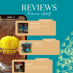 Reviews graphic with three customer quote cards and star ratings on teal