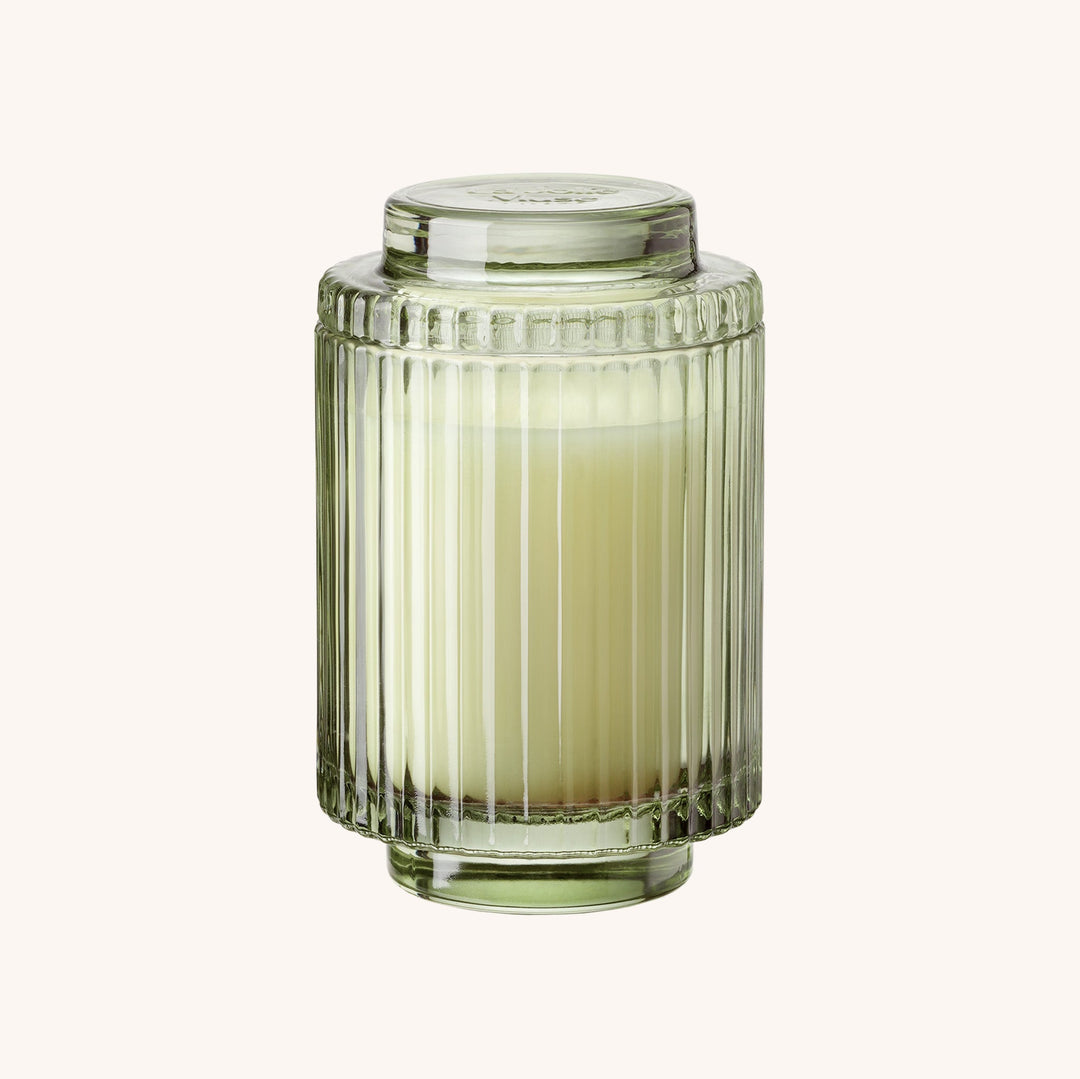 Amélie– Kyoto Vine & Moss Candle