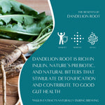 Roasted dandelion herbal tea benefits graphic with dandelion root
