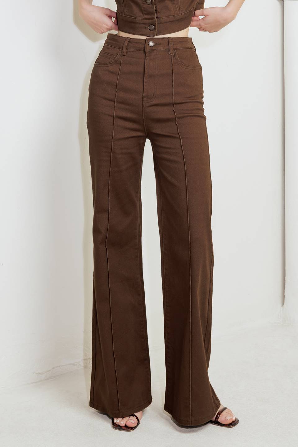 Women’s brown twill pants, high-rise wide legs with button front and front seam lines.