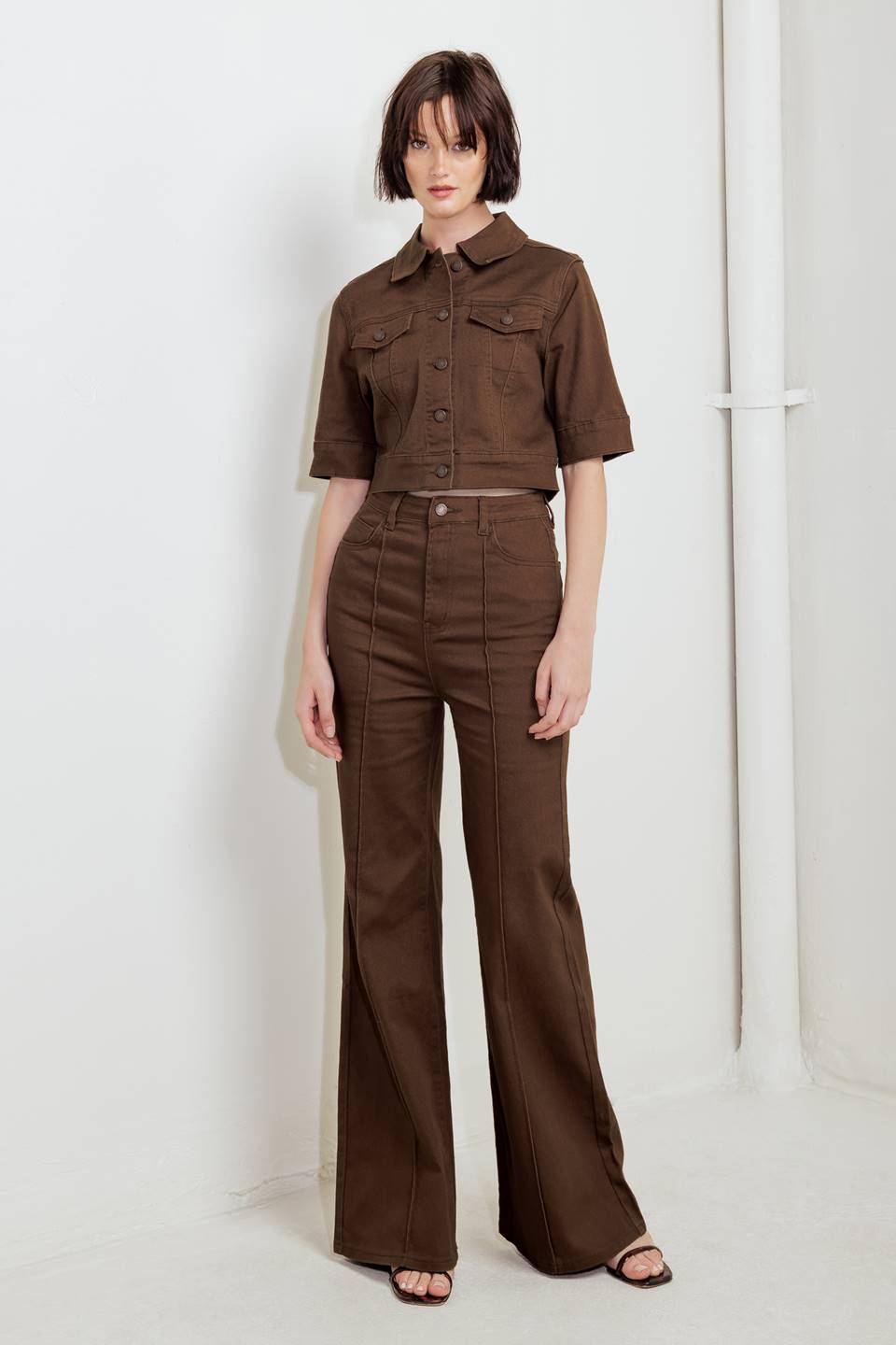 Women’s brown twill pants with high-rise wide legs and button front, fitted through hips.