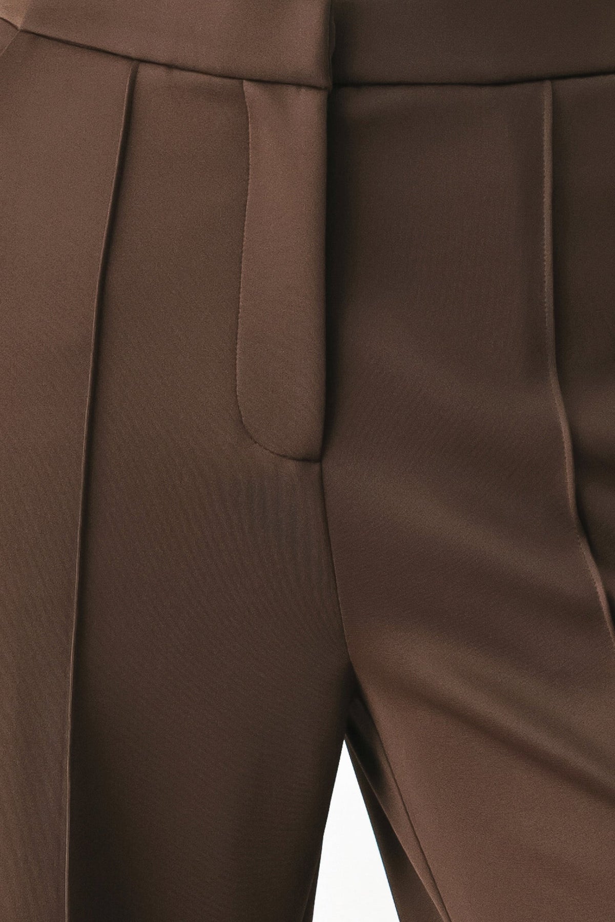Brown wide-leg pants with front pleat detail and side seam pocket opening
