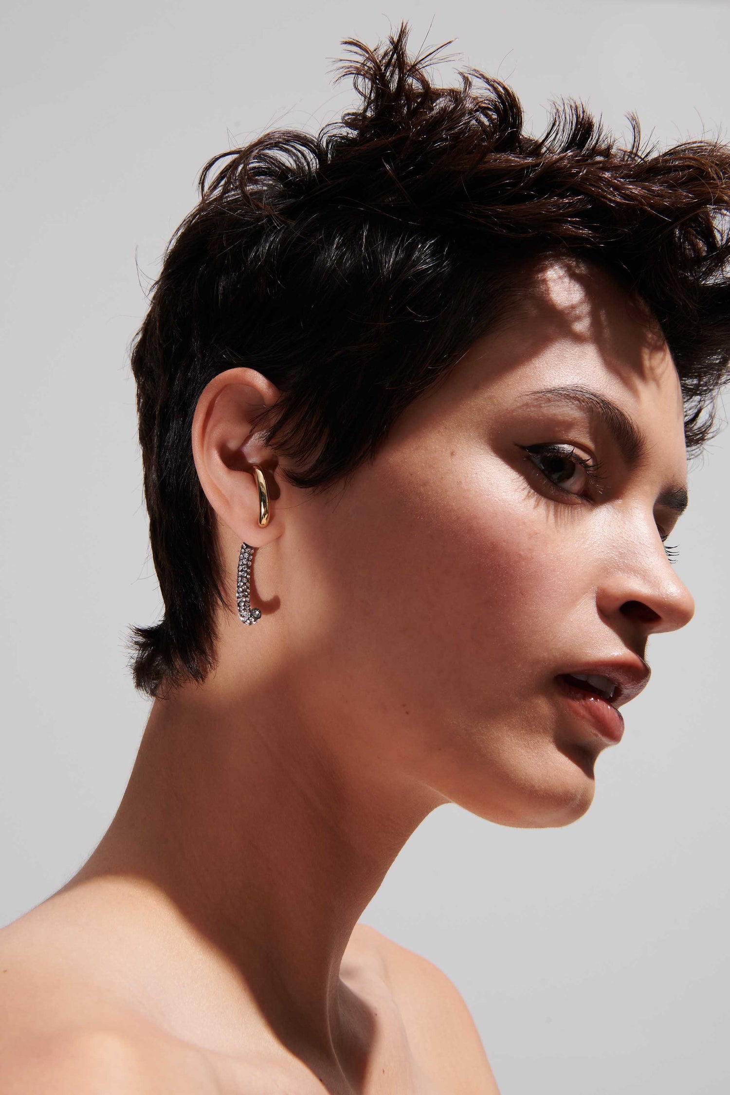 Luna Pavé Earrings