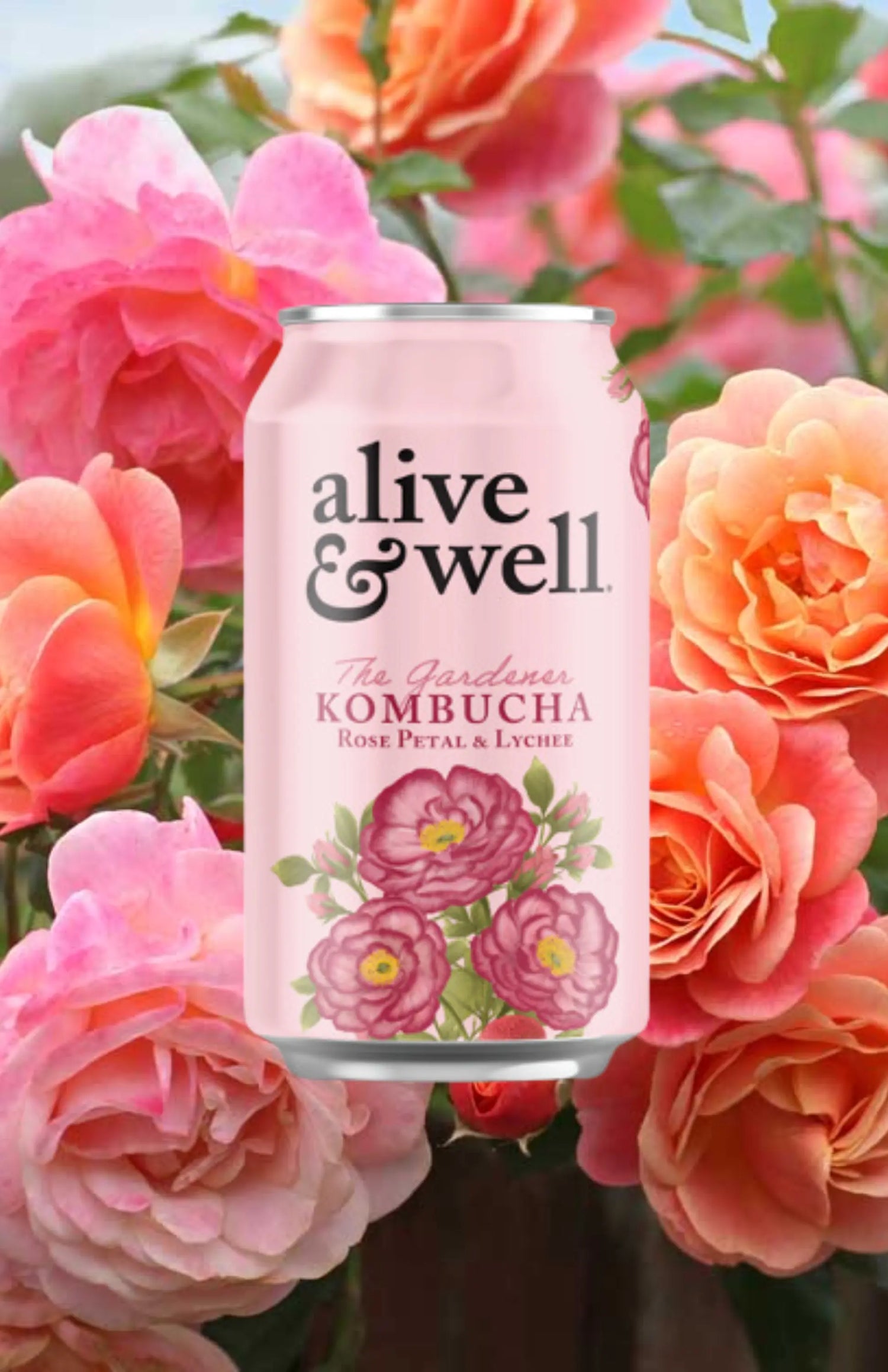 Alive & Well Rose Petal & Lychee Kombucha