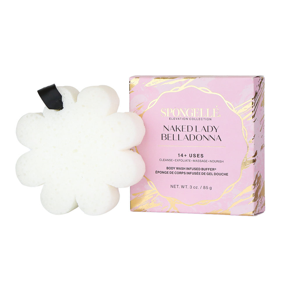 Spongelle boxed flower cleansing sponge with white petals and black ribbon, with product box