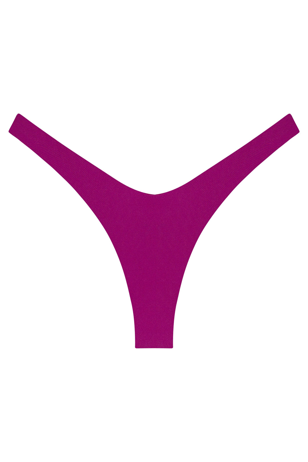 Ludisia Bikini Bottom