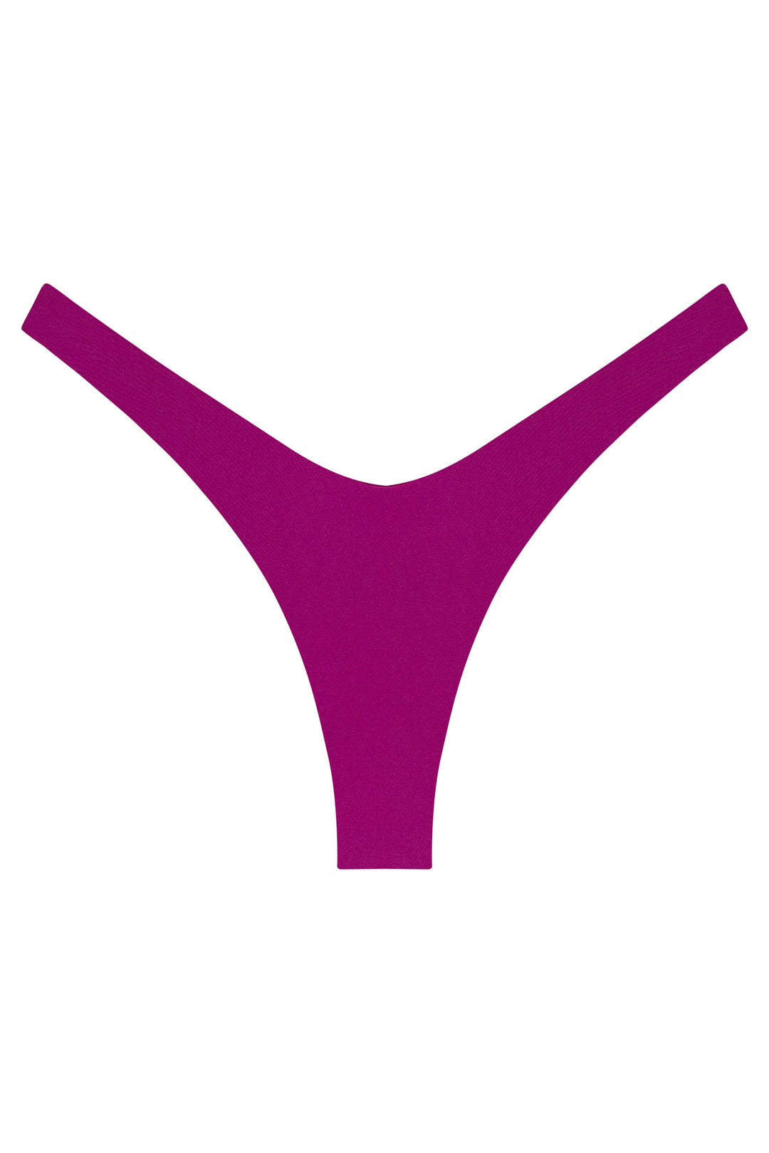 Ludisia Bikini Bottom
