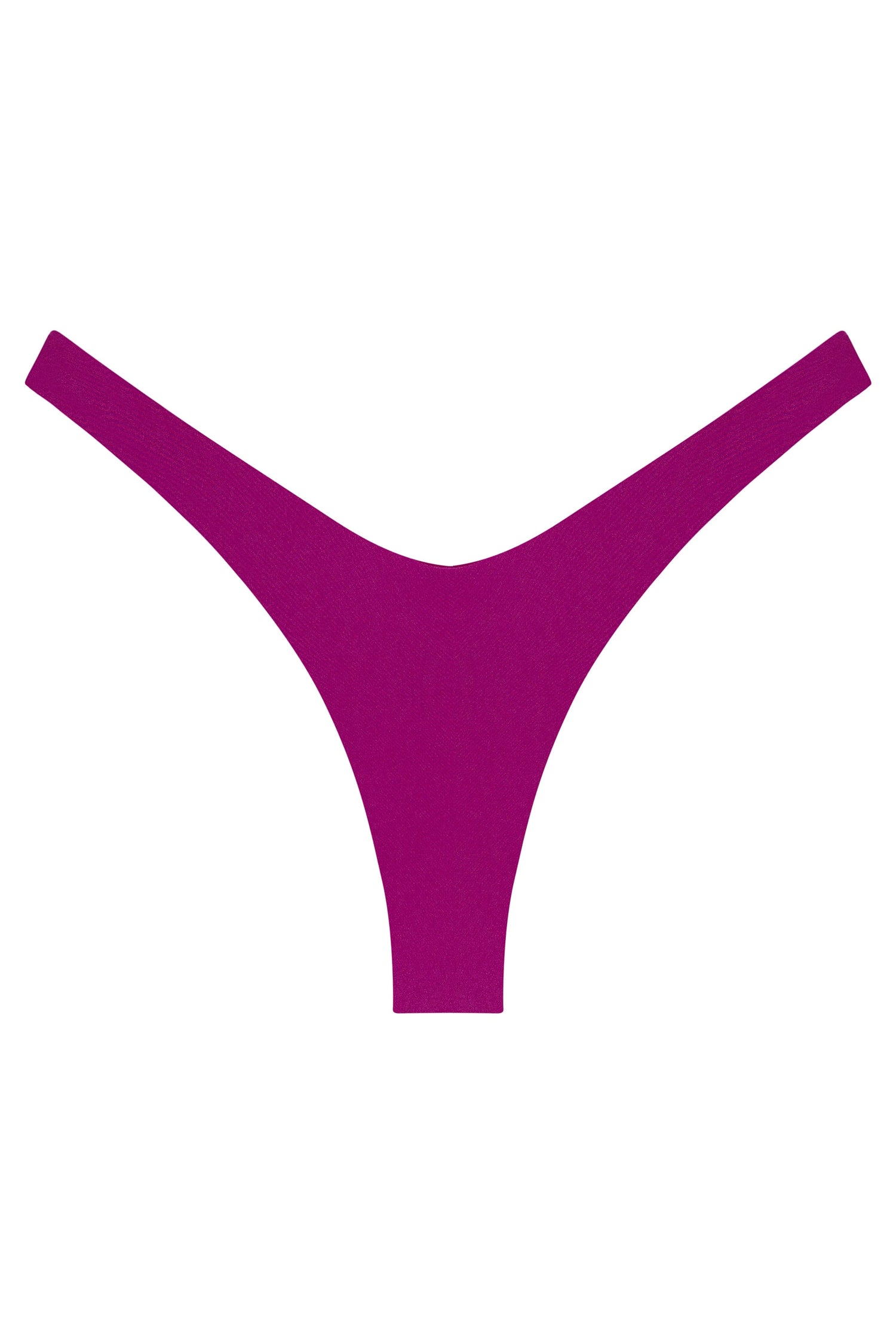 Ludisia Bottom