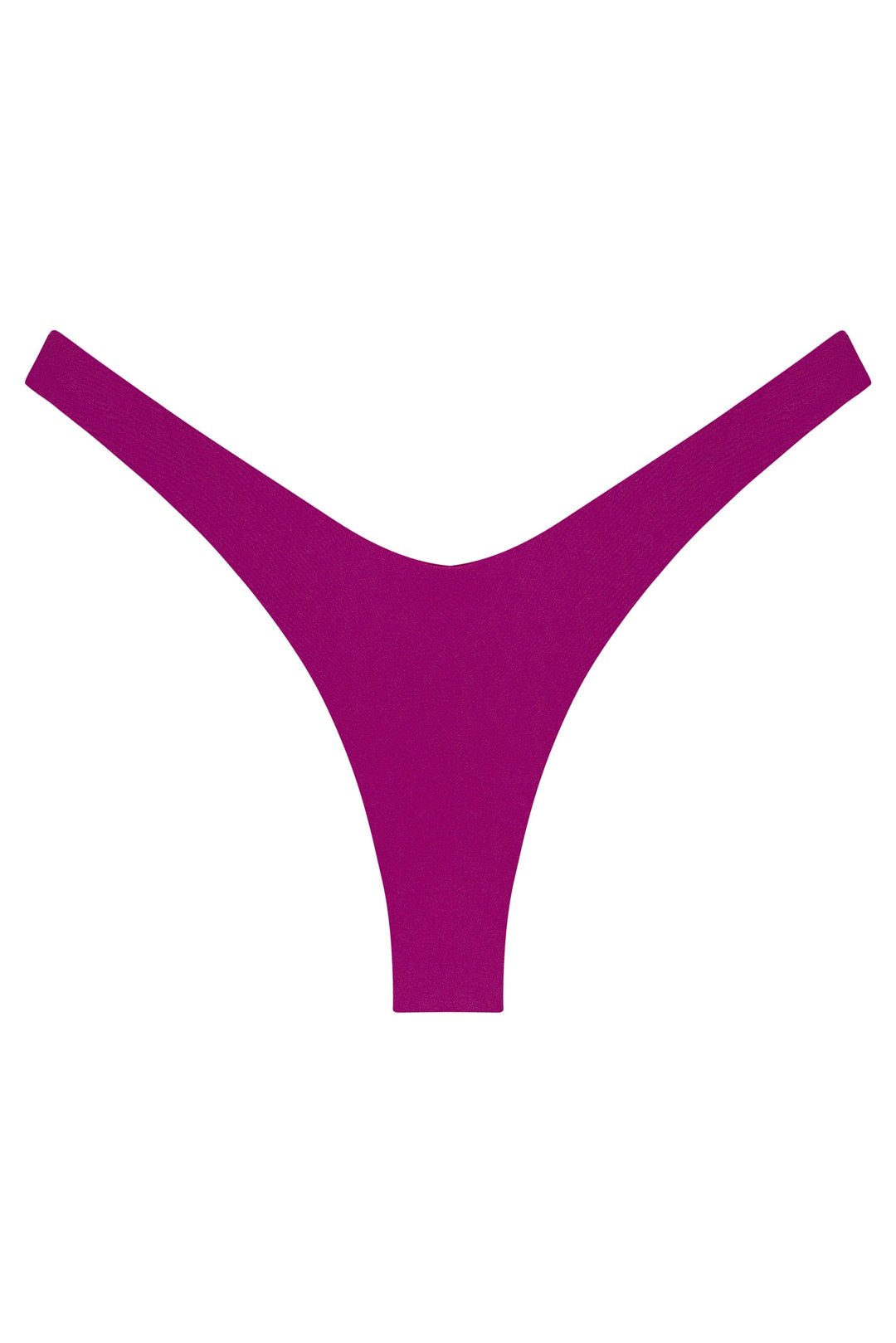 Ludisia Bikini Bottom
