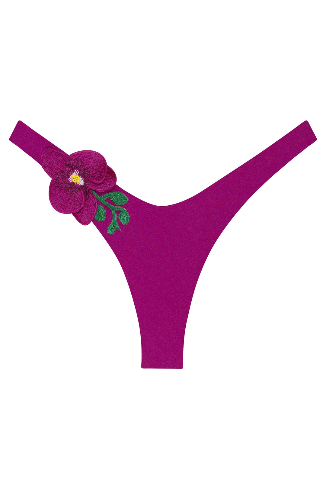 Orchids of Biscayne Bikini Bottom