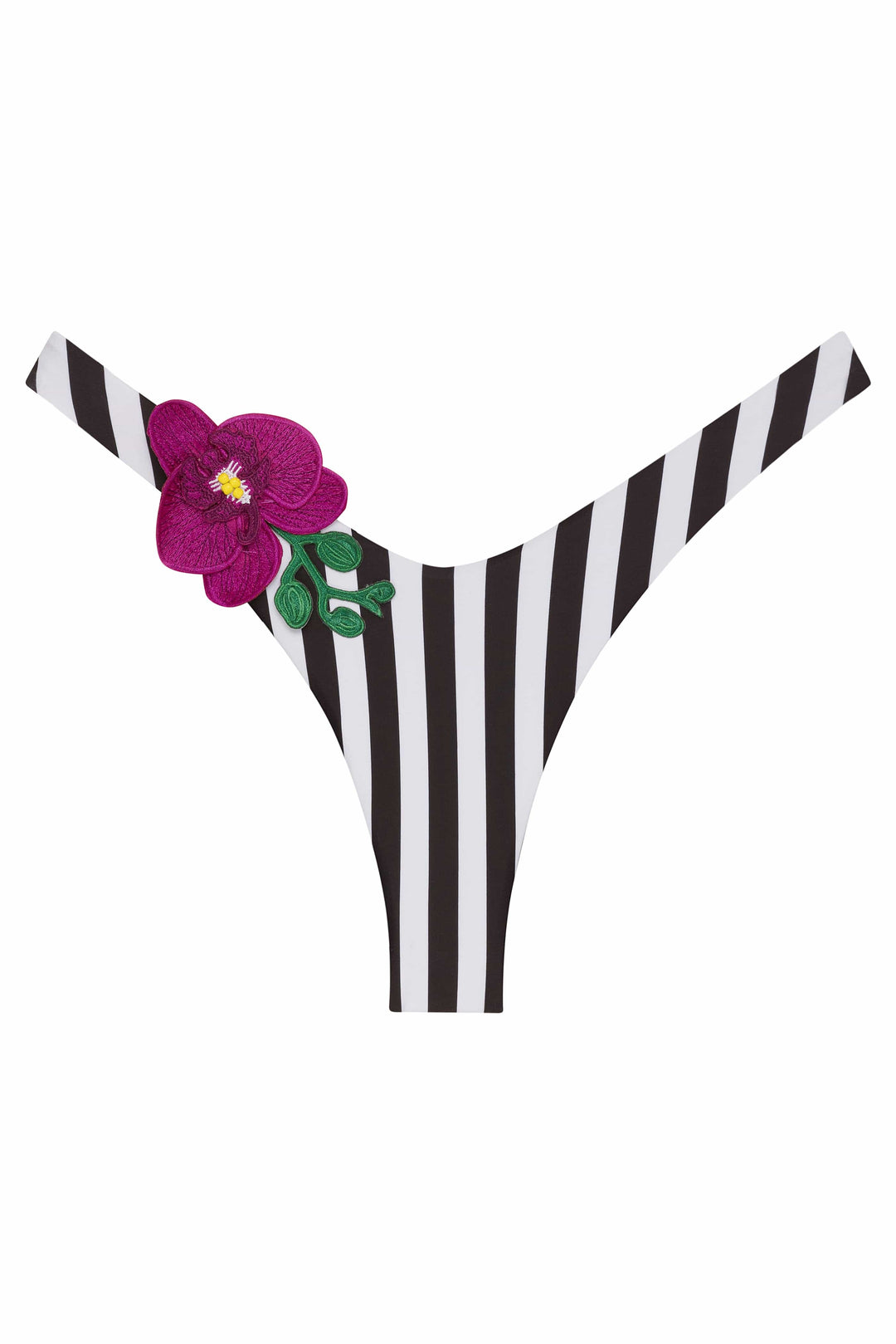 Orchids of Biscayne Bikini Bottom