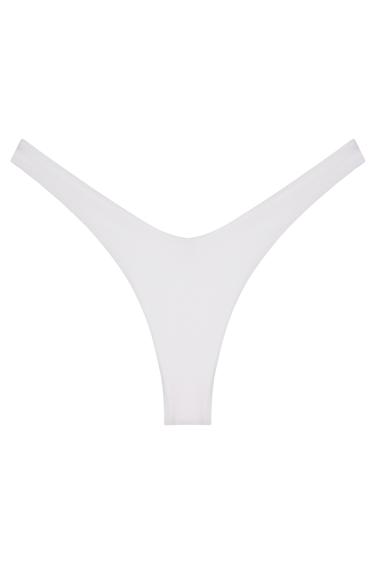 Ludisia Bottom