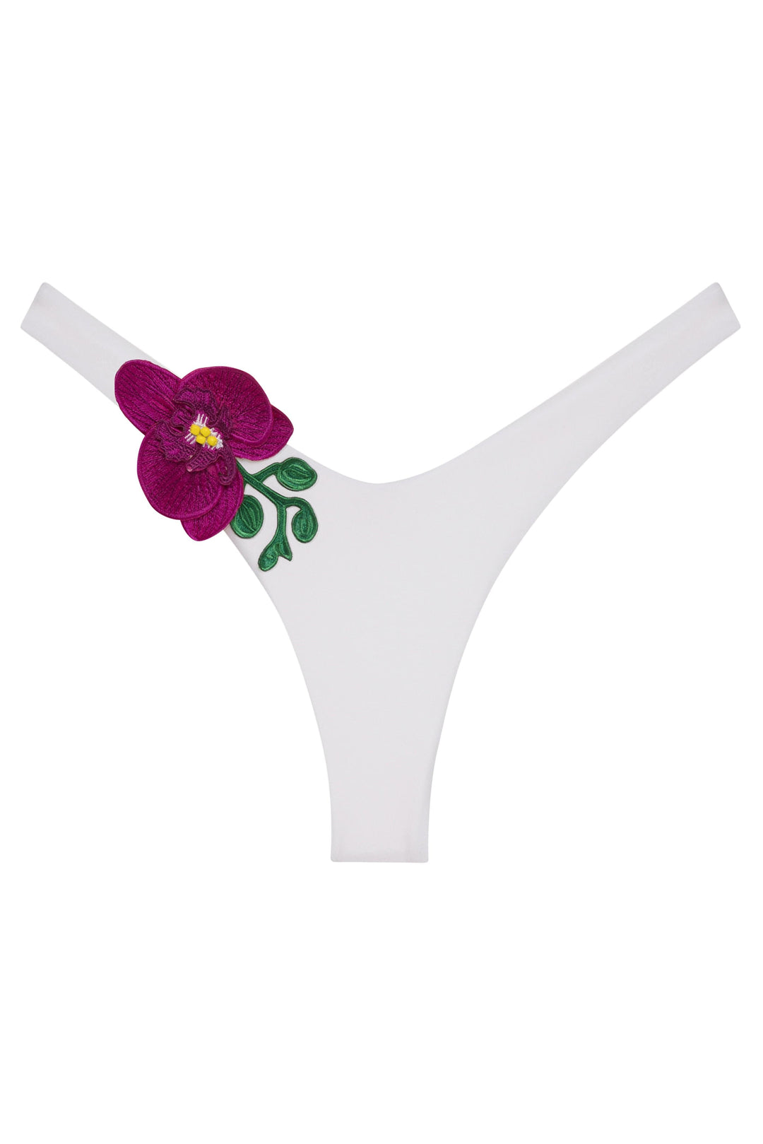 Orchids of Biscayne Bikini Bottom