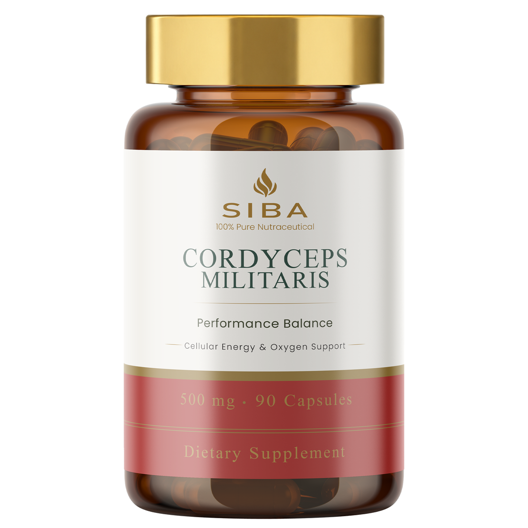 SIBA Cordyceps Mushroom Capsules – 1000mg Fruiting Body Extract