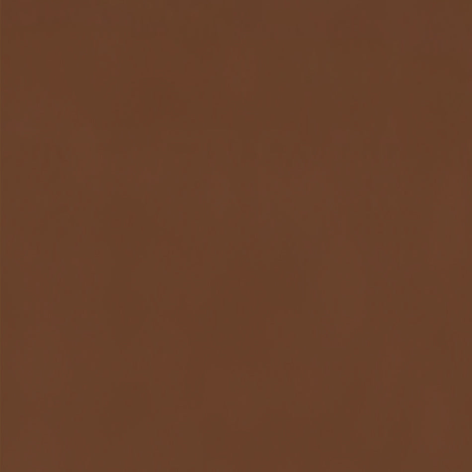 Coconut Cream Foundation + Brush – Cream-to-Powder Clean Foundation Set